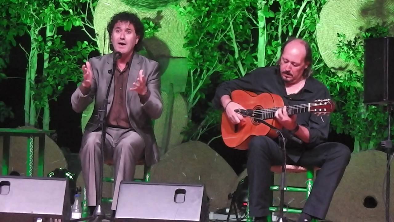 Julián Estrada en La Luna Flamenca de Guaro 2016.Fandangos