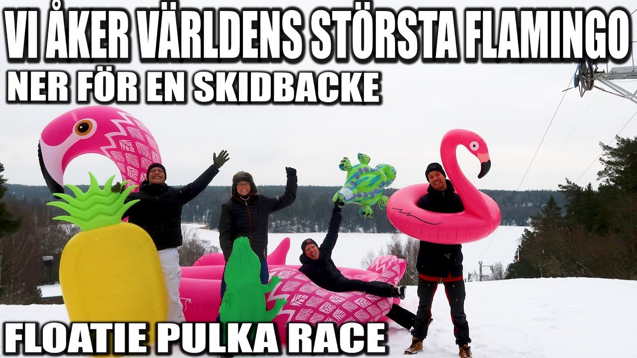 VI ÅKER VÄRLDENS STÖRSTA FLAMINGO NER FÖR EN SKIDBACKE *FLOATIE PULKA*