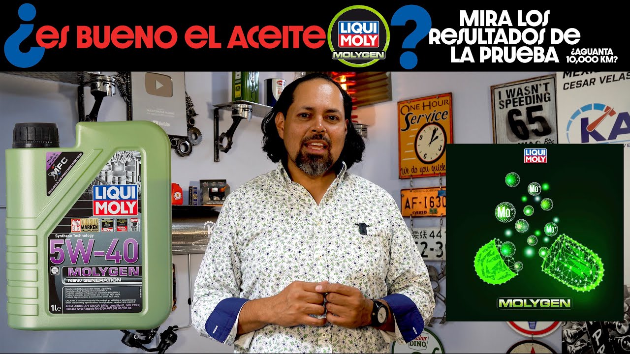 Vamos a conocer a fondo el desempeño de Molygen