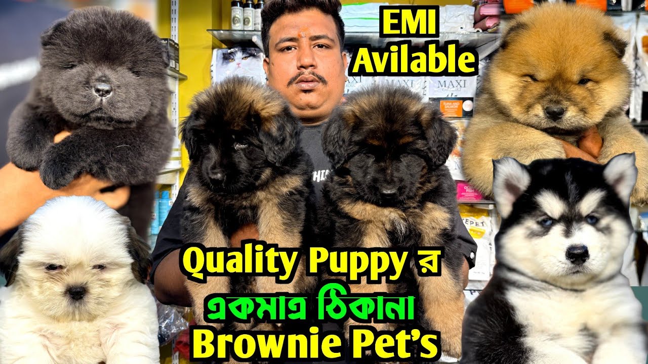Best Pet Shop in Kolkata. Dog Market Kolkata. Kolkata Dog Market. Pet Market Kolkata.