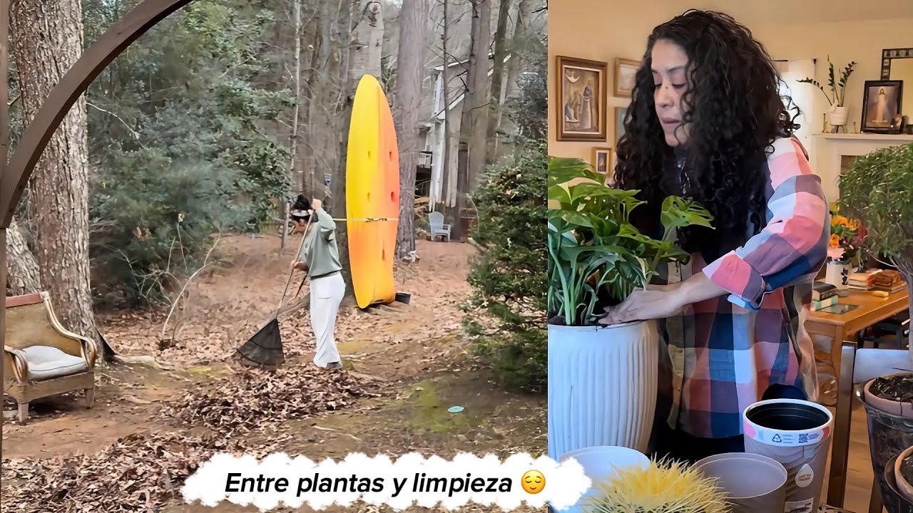 Del jardín a mi hogar 🌿 Limpieza, nuevas plantas y mi secreto de fertilización