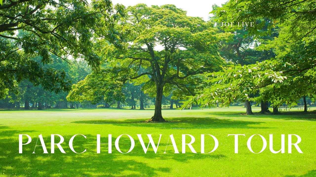 PARC HOWARD TOUR #llanelli