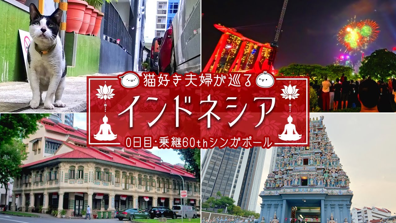 【インドネシア旅】乗継シンガポールで建国60周年ド派手&圧巻イベントと猫ちゃん触れ合いで大満喫♪インドネシア旅⓪｜旅Vlog