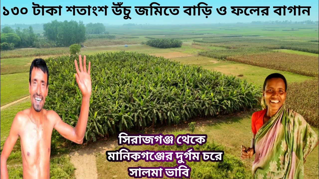 সিরাজগঞ্জ থেকে মানিকগঞ্জের দুর্গম চরে ১৩০ টাকা শতাংশ উঁচু জমিতে বাড়ি ও ফলের বাগান সালমা ভাবির ||