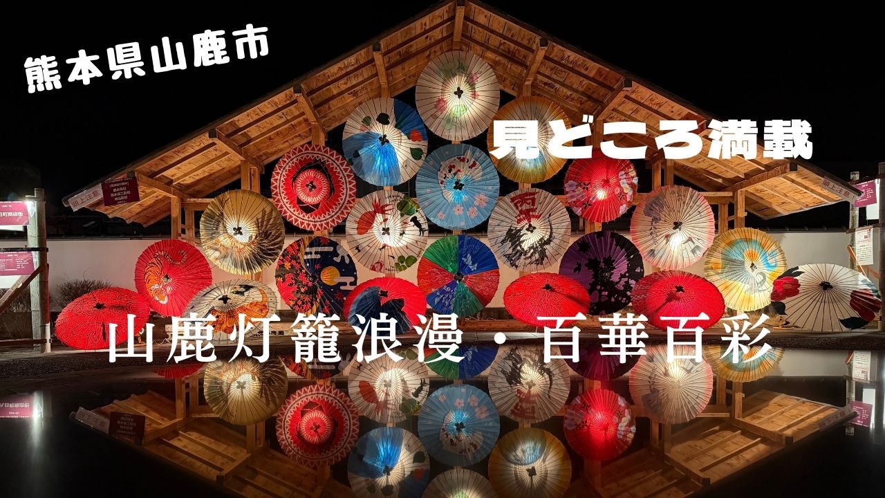 【山鹿灯籠浪漫百華百彩 】ライトアップされた色とりどりの和傘。通りを彩る竹あかり。灯籠踊りに太鼓の演奏。見どころ満載。#山鹿#灯籠踊り#八千代座通り#山鹿灯籠浪漫#熊本