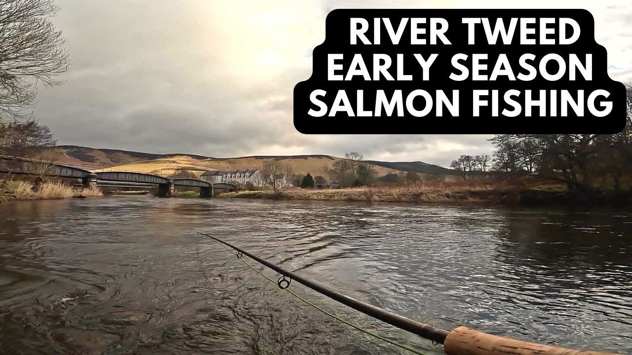 River Tweed Salmon Fishing Early Season 2024