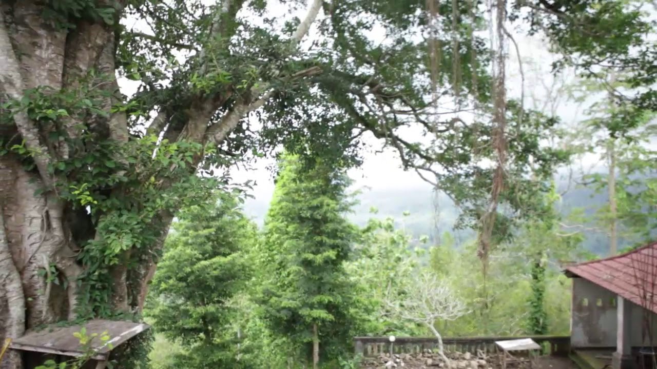 Bali Blessings | Sidemen, Karangasem