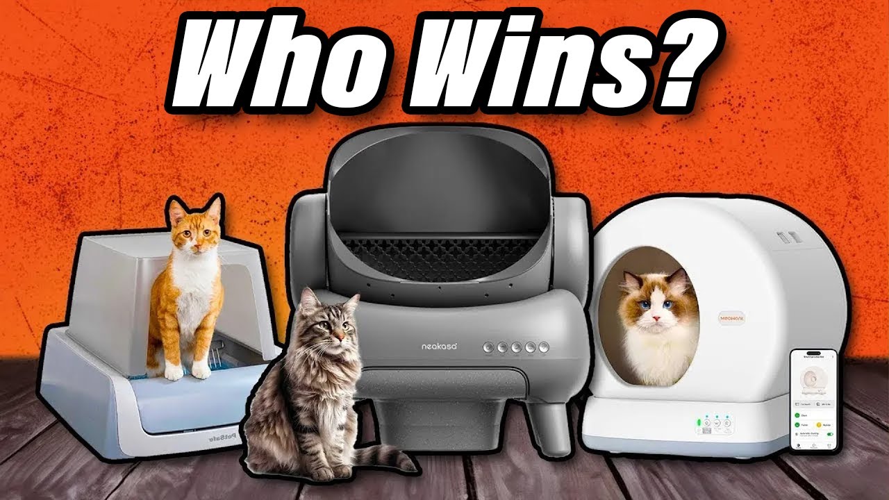 Best Automatic Litter Boxes 2026 - The Only 6 To Consider Today