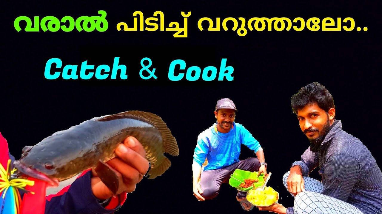 വരാൽ പിടിച്ചു ഫ്രൈ അടിച്ചു | Kerala Snakehead Fishing from the Pond & Traditional Village Cooking
