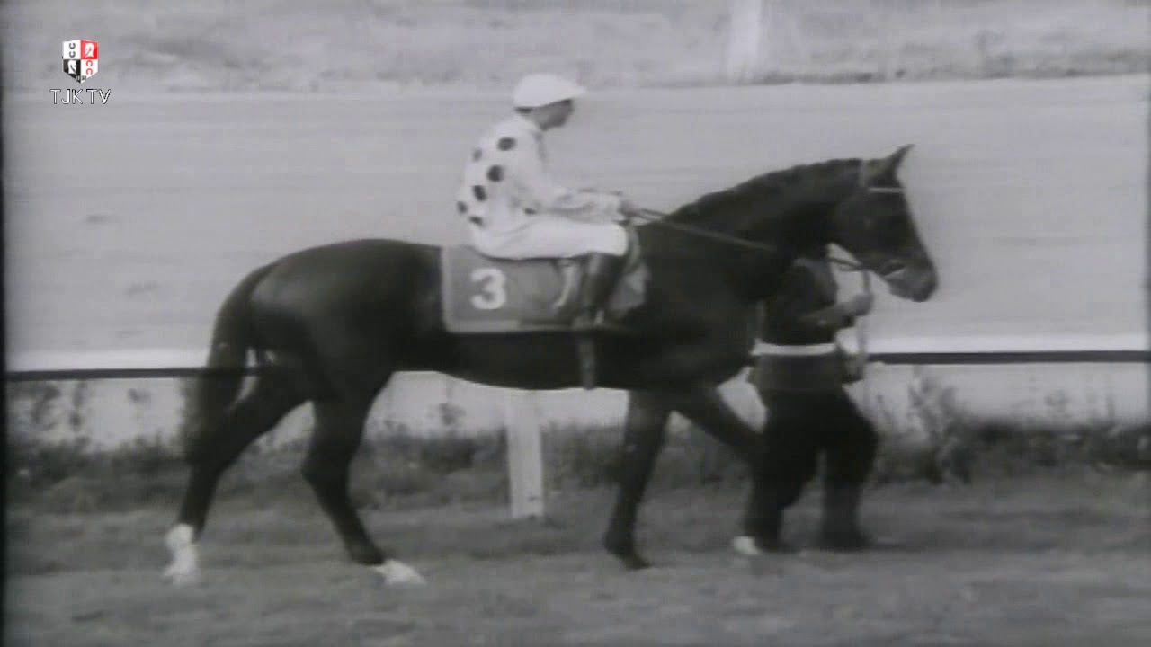 GAZİ KOŞUSU 1965