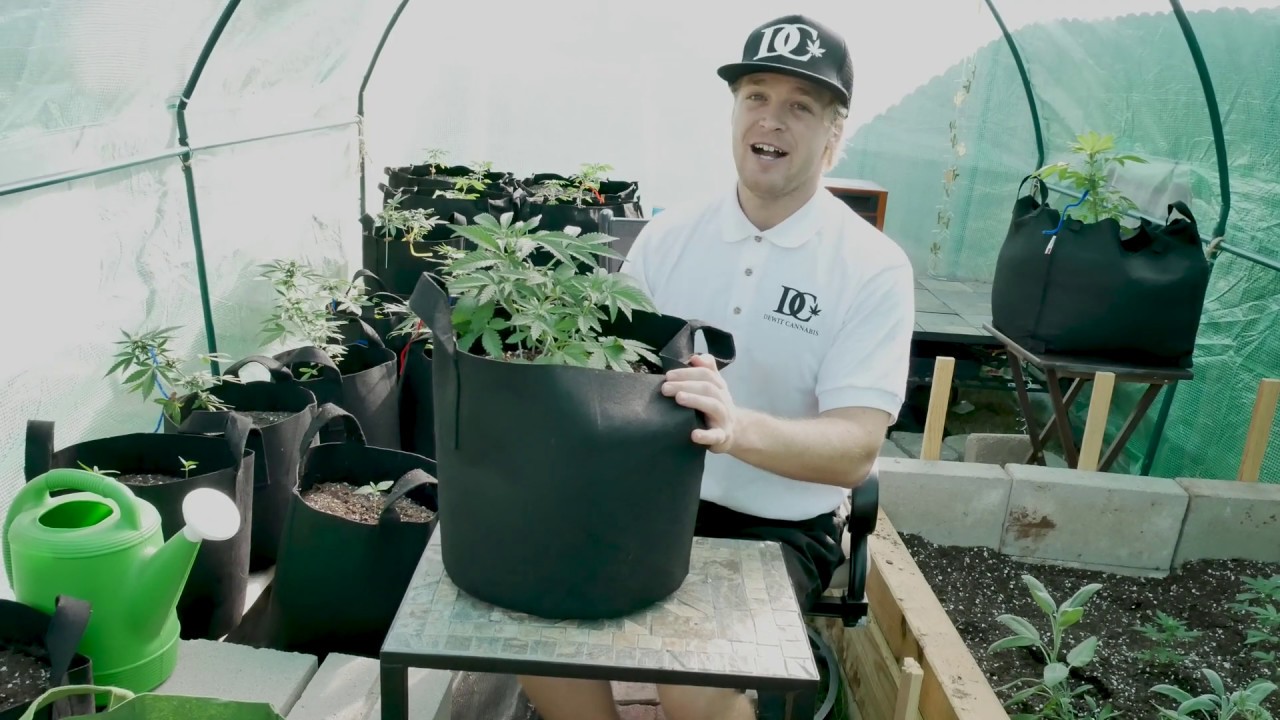 Oklahoma | How To Grow Cannabis | Intro