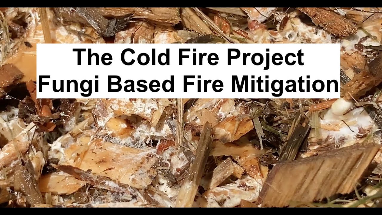 Cold Fire: Ally With Fungi - FUNGAL DEGRADATION FIRE MITIGATION