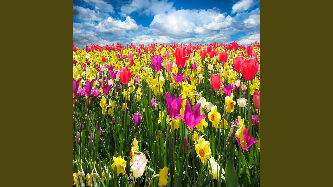 Vento di primavera