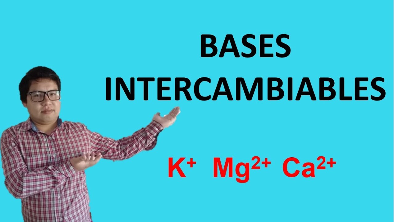 Bases intercambiables en el suelo