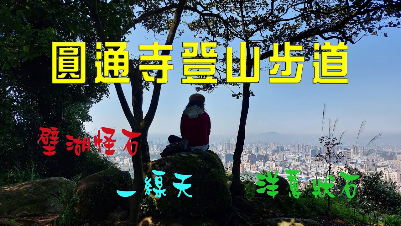 搭捷運去爬山。圓通寺登山步道是隱身新北市郊秘境！僅容1人通行一線天，壁湖怪石，洋蔥狀石地質景觀，360歲的雀榕。