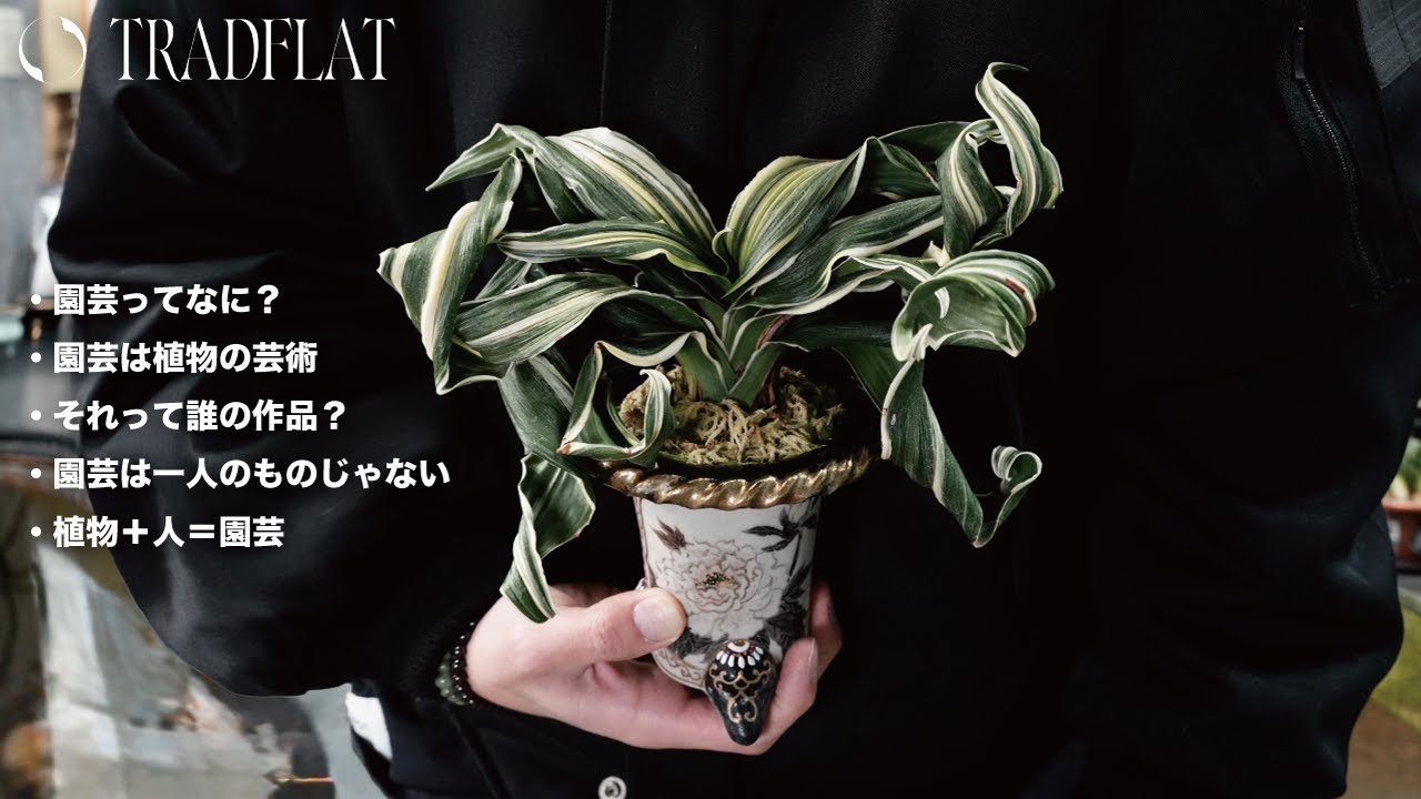 【TRADFLAT】園芸って何？　#万年青