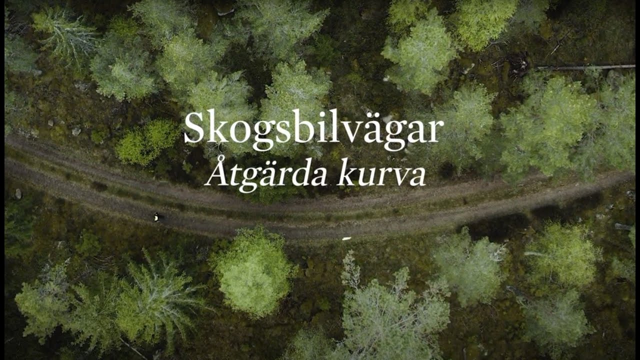 Skogsbilvägar - Åtgärda kurva