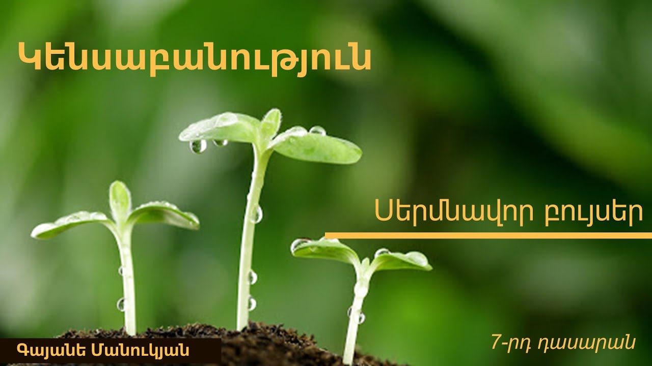 Կենսաբանություն, Սերմնավոր բույսեր․ 7-րդ դասարան