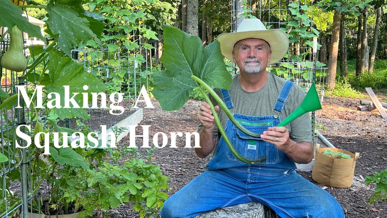 Making A Squash Horn: Music in Garden!