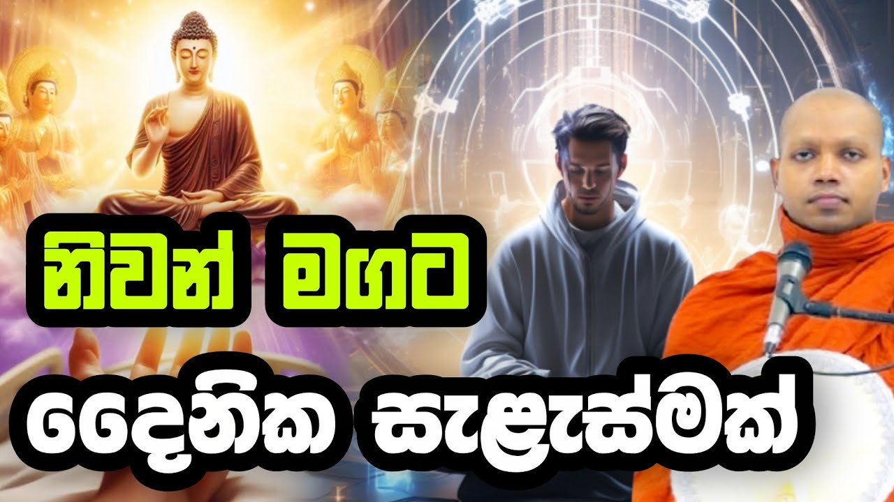 දෛනික සැලැස්මක් | Hasalaka Seelavimala Thero | හසලක සීලවිමල හිමි | බණ