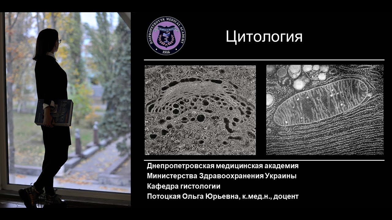 1. Цитология Мембрана Транспорт Органеллы