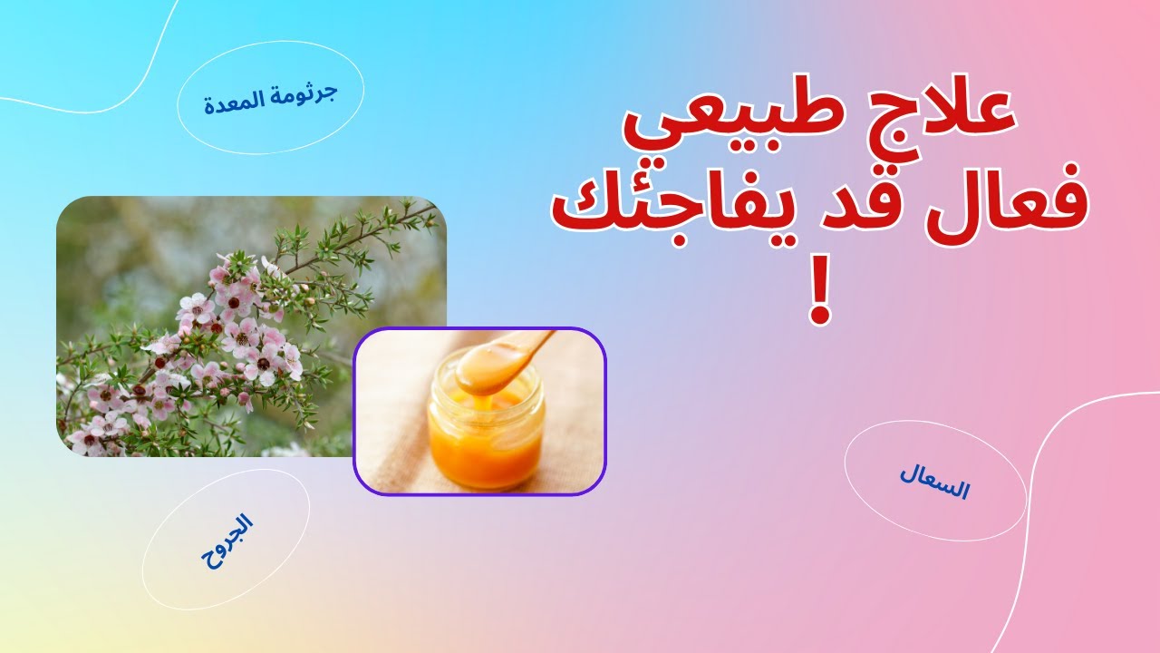 الحقيقة الكاملة عن عسل المانوكا  (الفوائد الصحية وأكثر)!