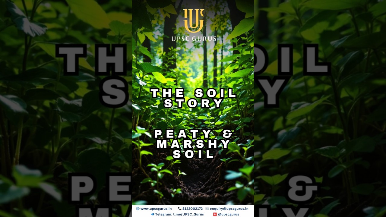 The Soil Story - Peaty and Marshy Soil By UPSC GURUS
