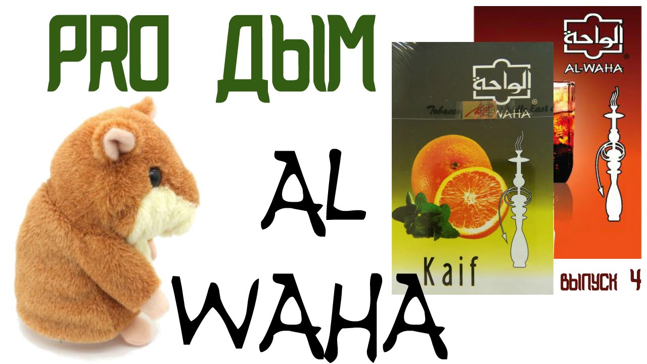 PRO ДЫМ. Обзор табака AL WAHA.