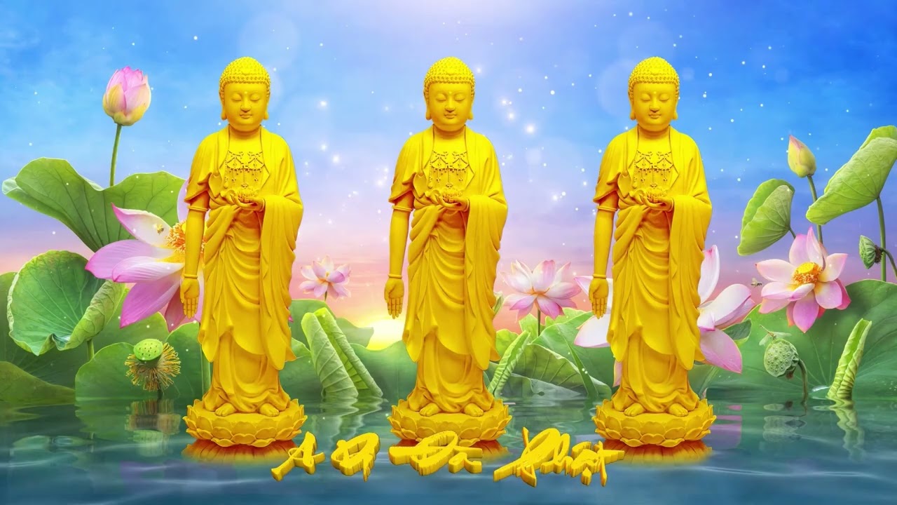 CỘNG TU CHIA SẺ TUẦN THẤT CỤ NGUYỄN THỊ HÒA PD MINH TRÍ 10 Tháng Ba 2026