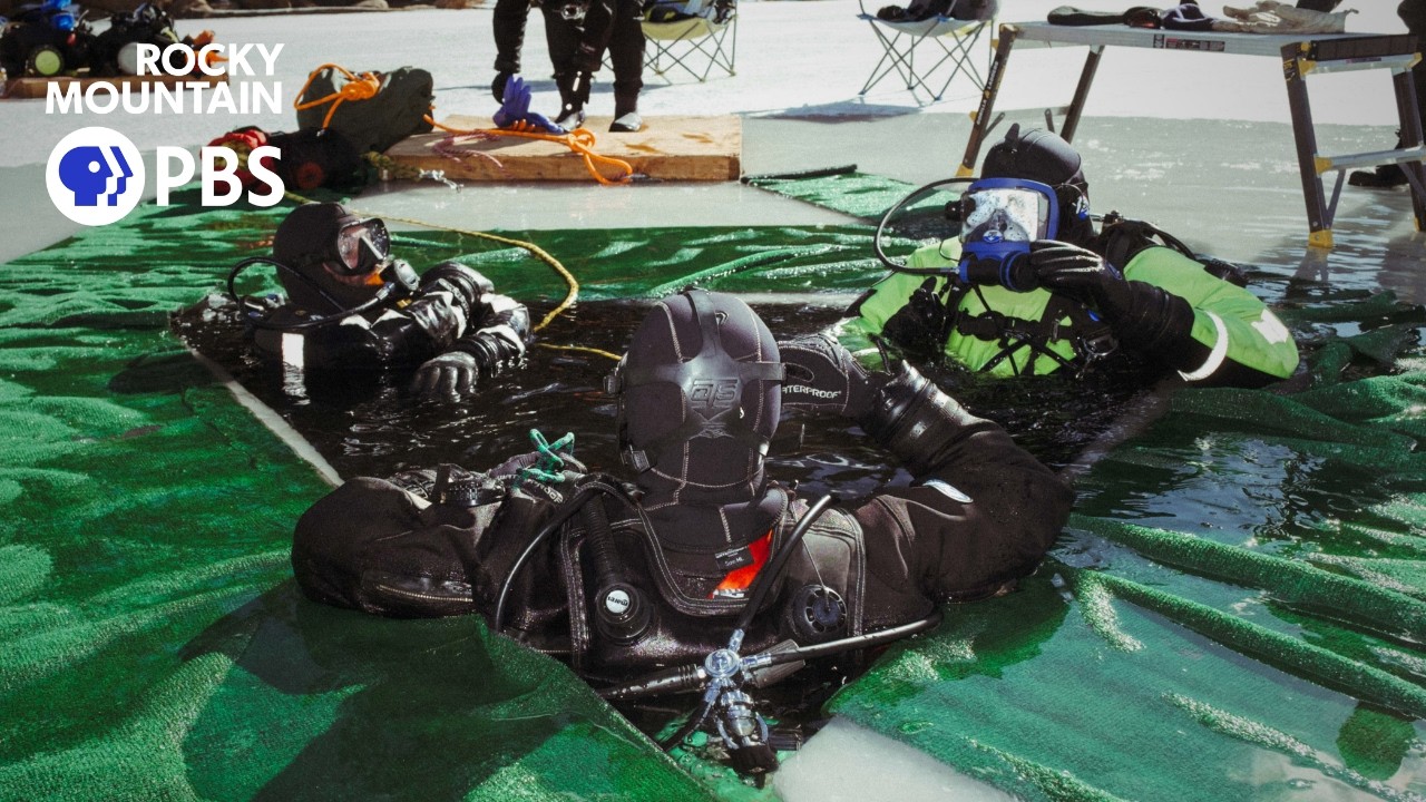 They've been waiting two years to ice dive