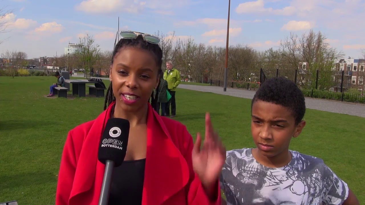 010nu - Bewoners tegen schoorsteenpijpen op dakpark