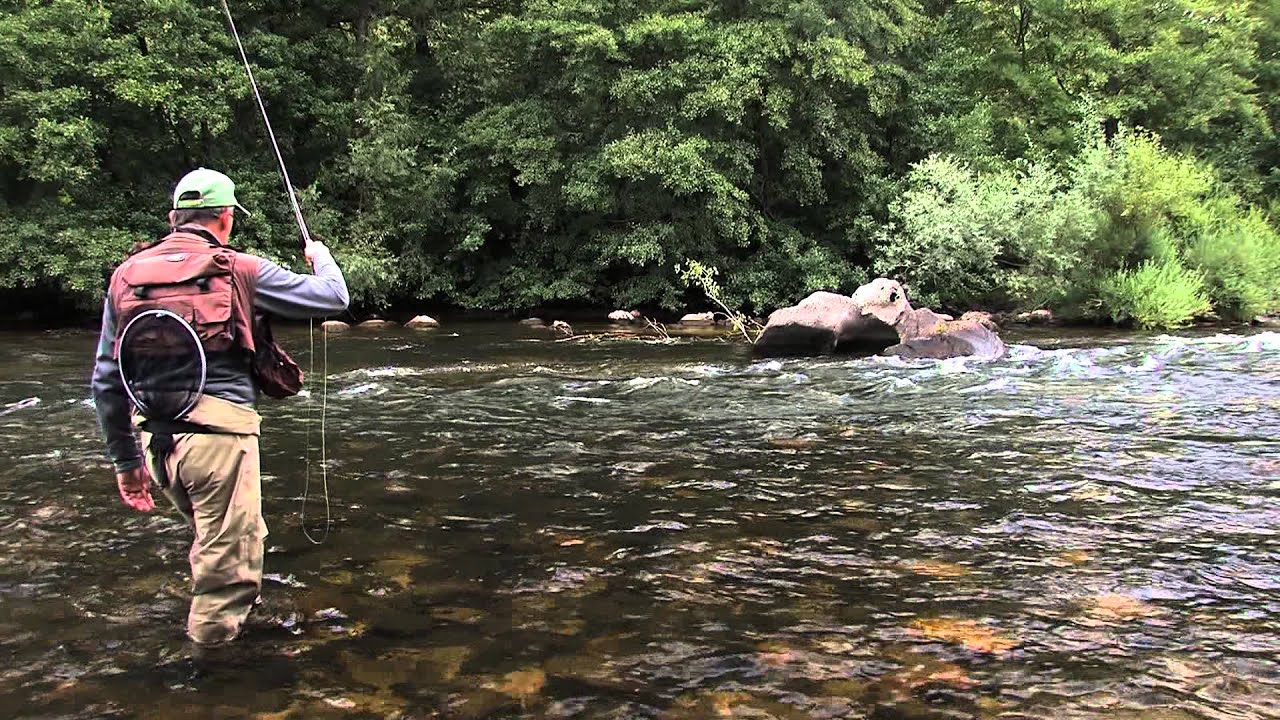 Peche de l'ombre commun avec Thierry Millot -  www.guidepechemouche.com