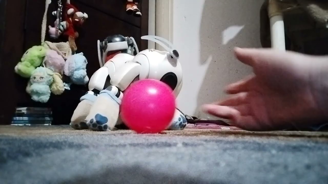 Running terra bite the aibo with his pleo friends on mind one 