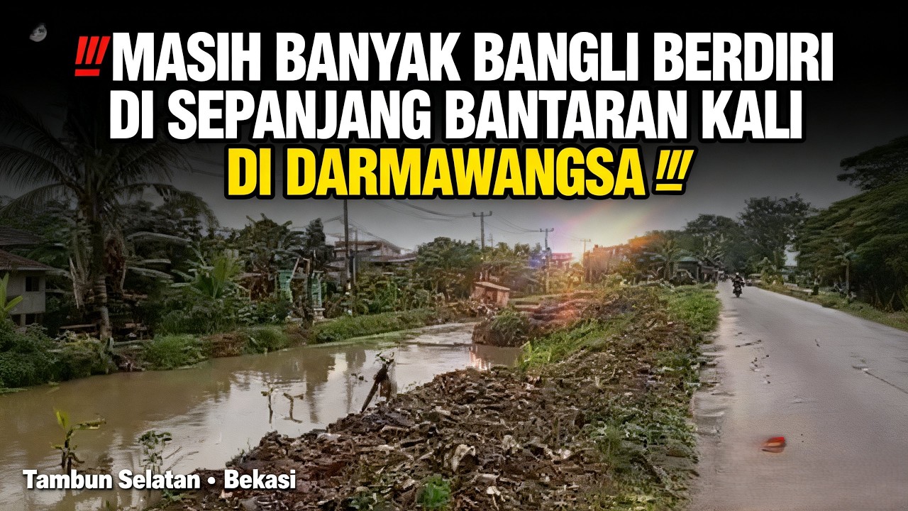 🛑MASIH BANYAK BANGLI BERDIRI DI SEPANJANG BANTARAN KALI DI DARMAWANGSA ‼️