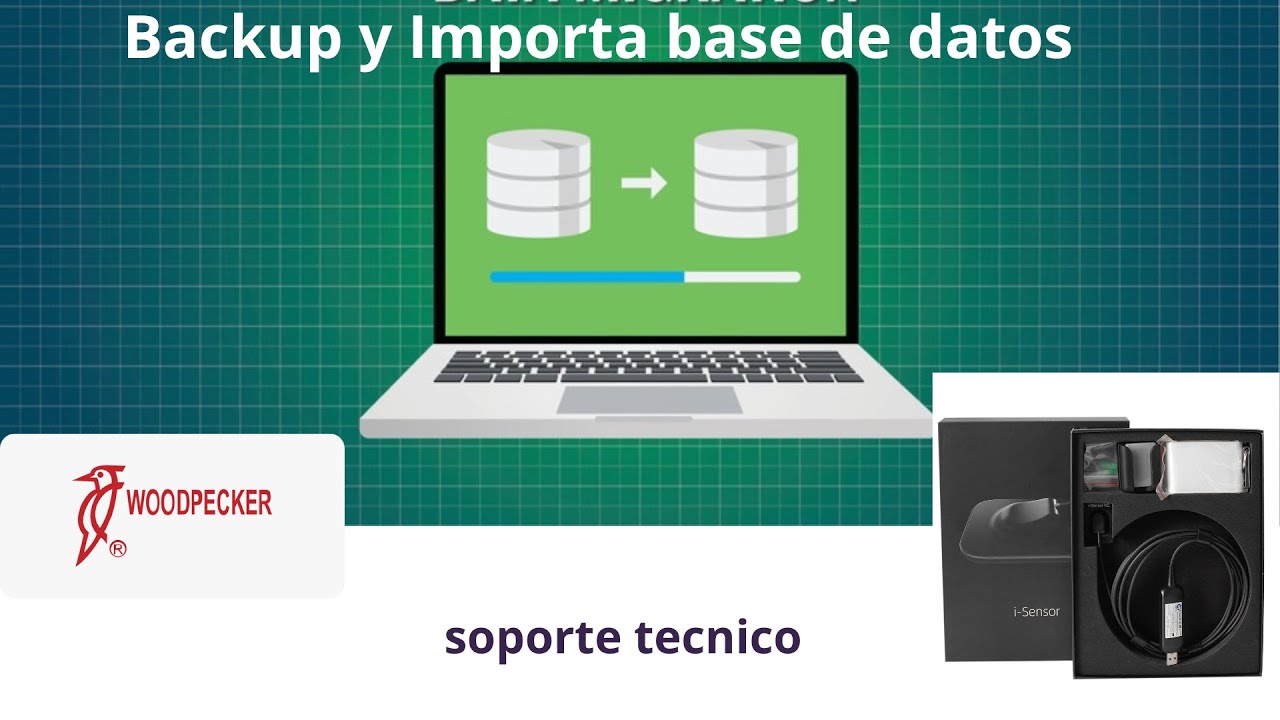 sensor H1 y H2 woodpecker(backup base datos, importar)