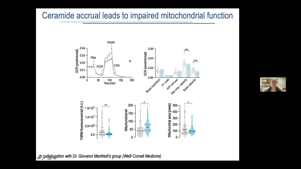 S1P controls endothelial sphingolipid homeostasis via ORMDL - 2nd Feb 2022