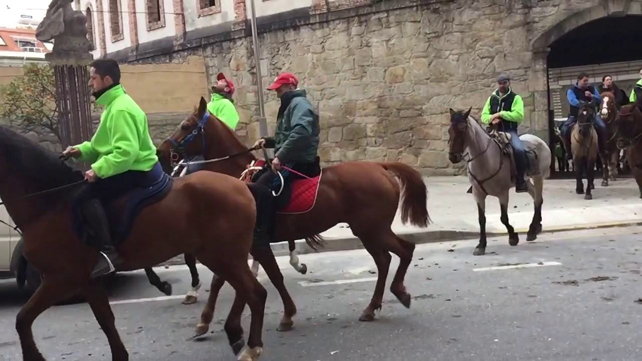 IV Ruta Cabalar Salnés-Tabeirós Terra de Montes