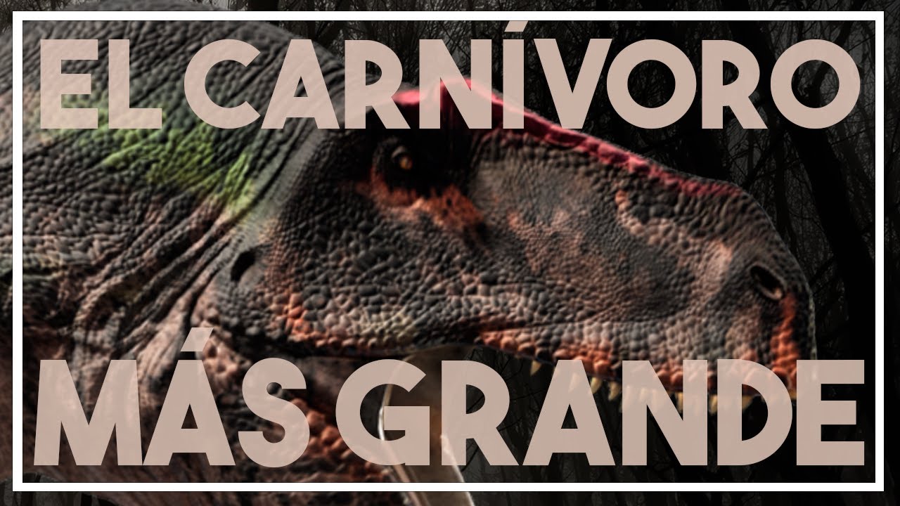 🦖 Cuál fue el DINOSAURIO CARNÍVORO más GRANDE