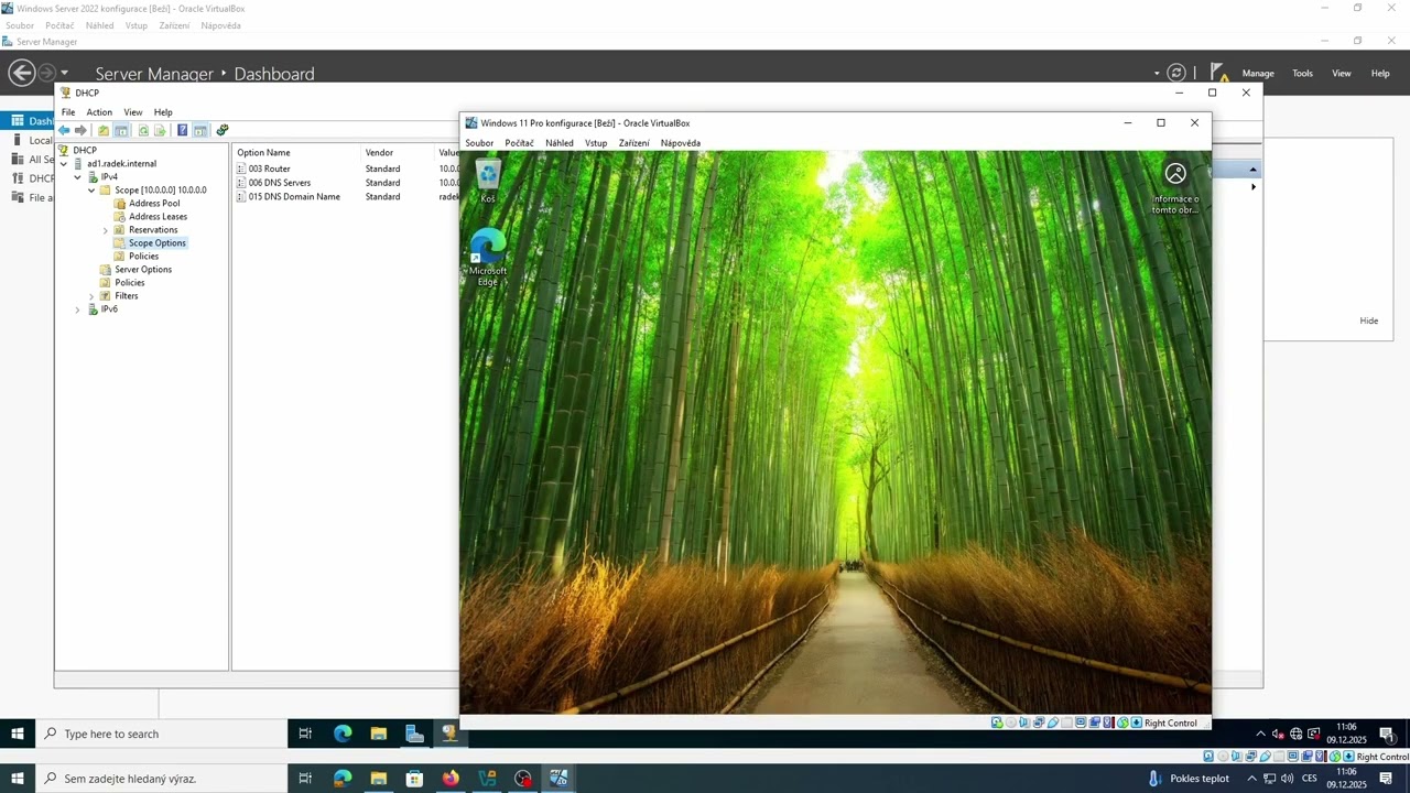 Školní výuka - konfigurace Active Directory - Windows Server