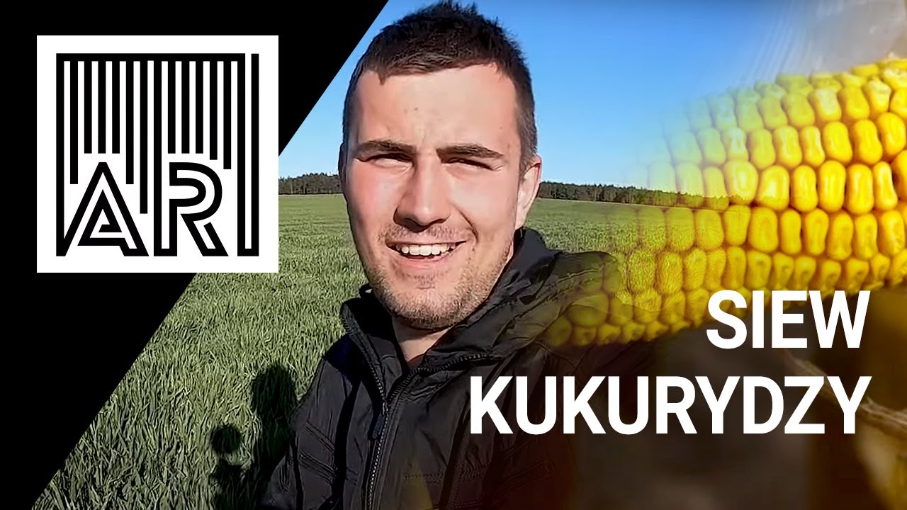 Siew kukurydzy - sposób rolnika NIEprofesjonalnego na wysoki plon II AR #91