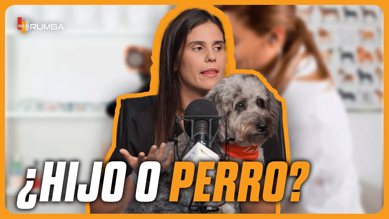 Humanización de animales: Los peligros de tratar a tu perro como un hijo