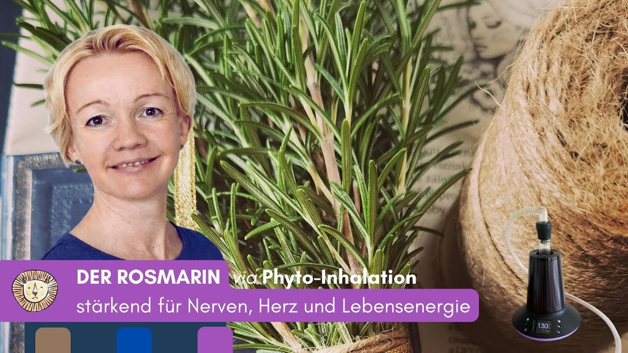 Der Rosmarin &ndash; st&auml;rkend f&uuml;r Nerven, Herz und Lebensenergie 🍃 via Phyto-Inhalation