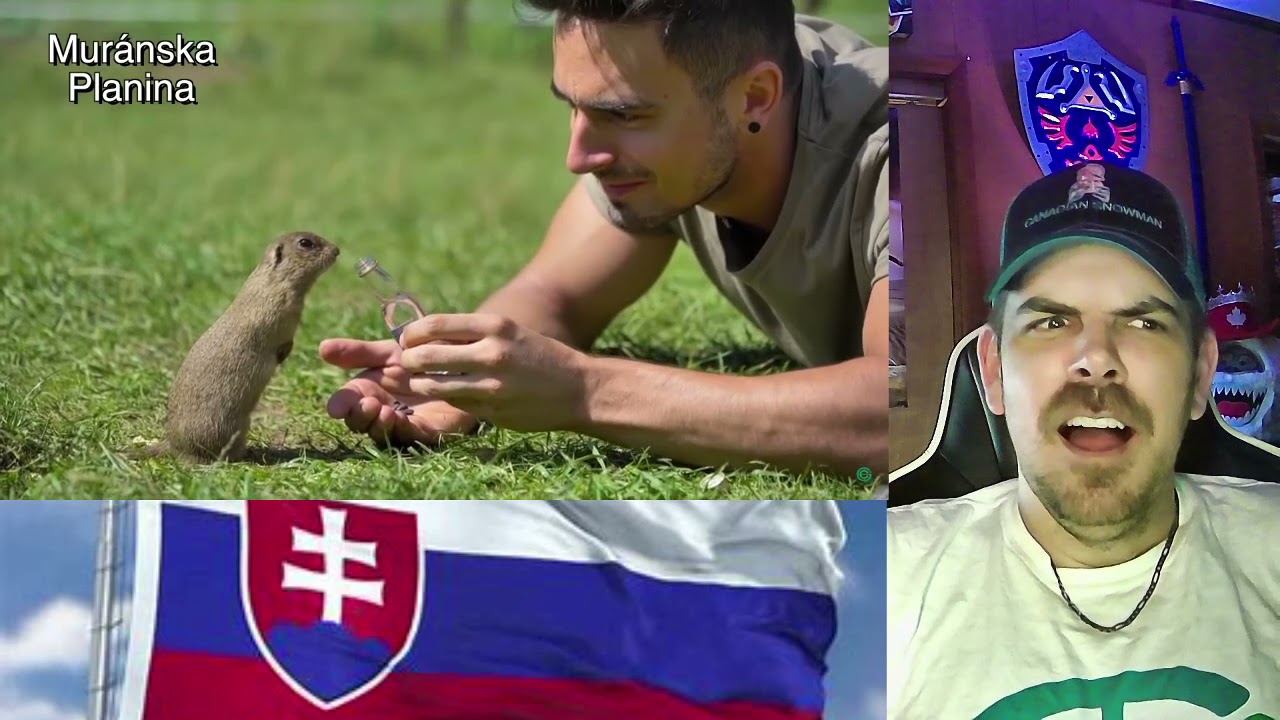 Geography Now! SLOVAKIA REACTION
