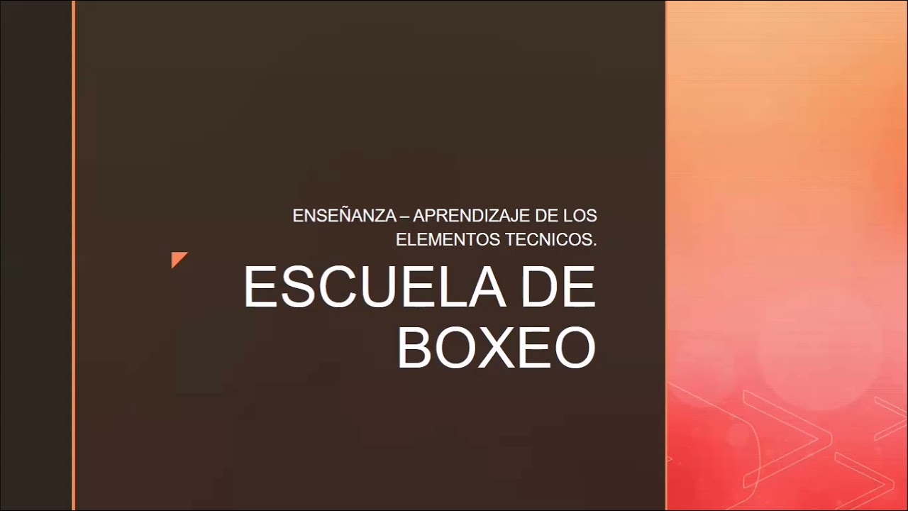 Escuela de Boxeo - enseñanza de la técnica.