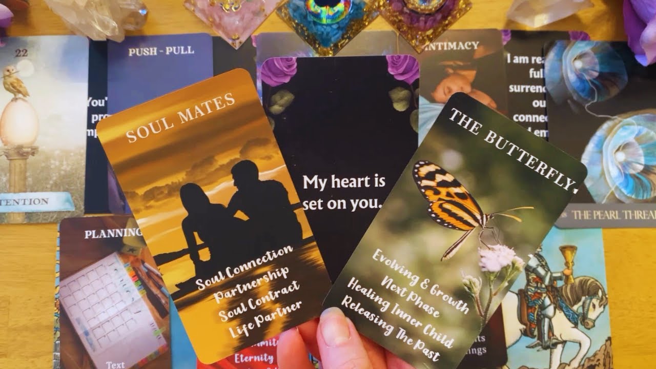 I KNOW WE ARE IN EACH OTHERS LIVES FOR A REASON! IT'S MEANT TO BE! 🌹  (COLLECTIVE LOVE READING )♥️