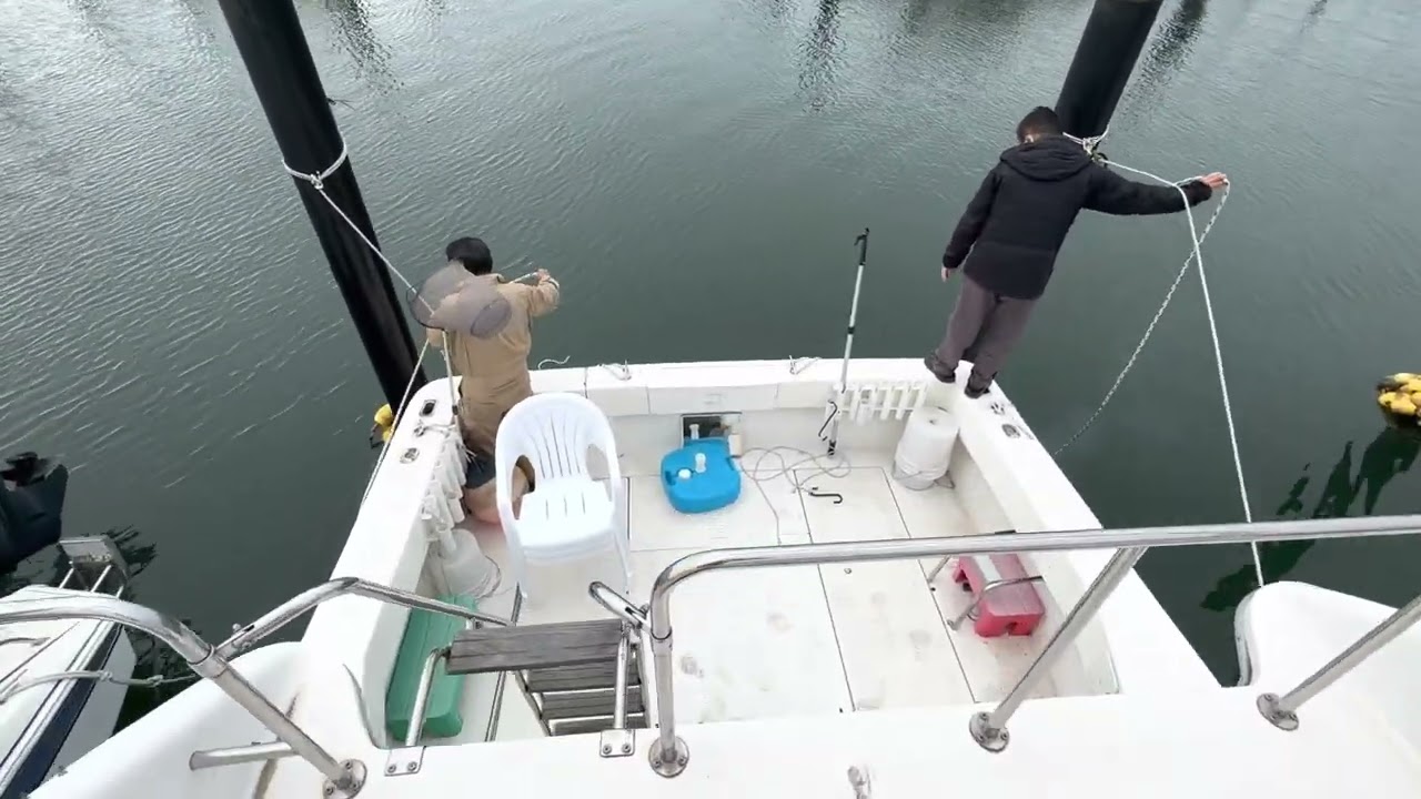 Sea Ray 310 Sport Bridge sea trial