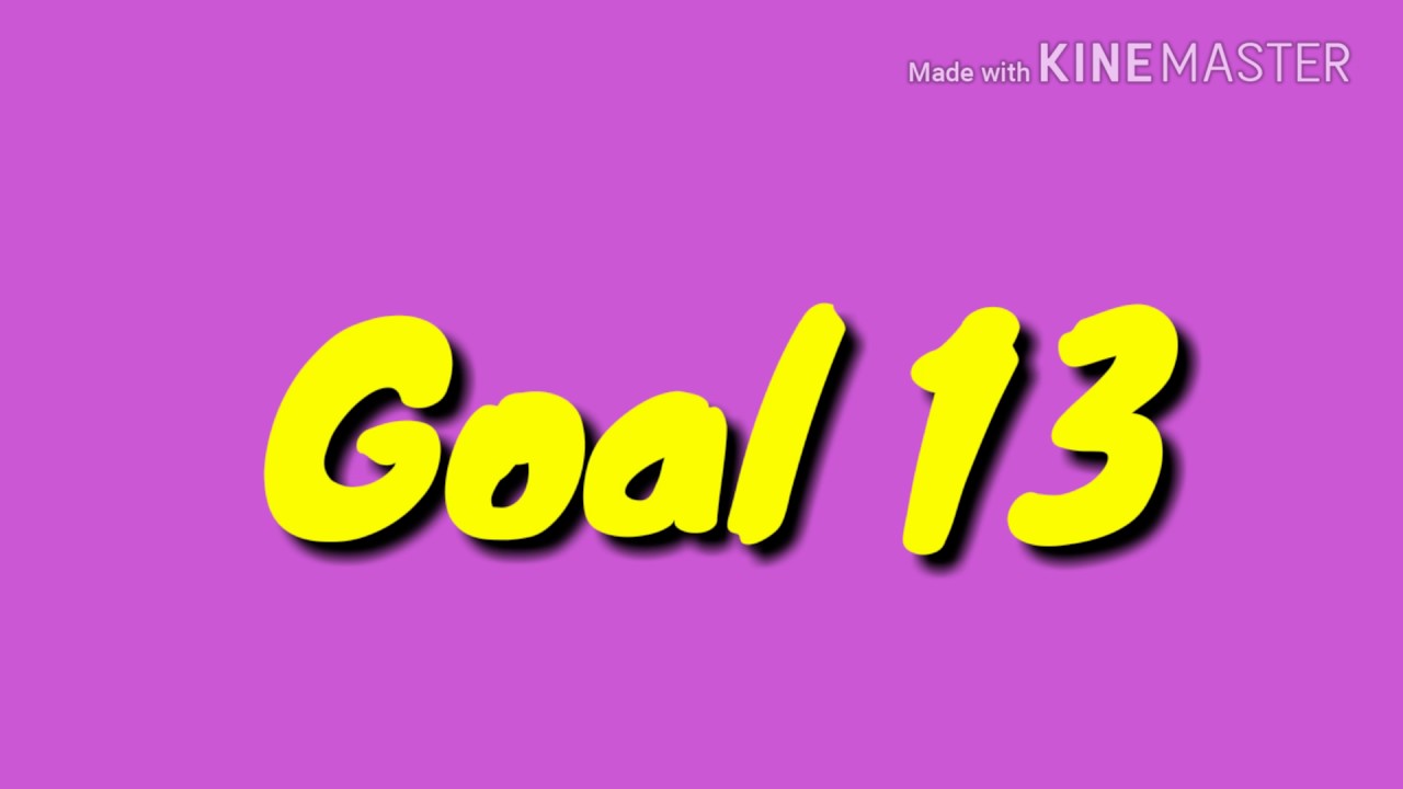 Goal 13