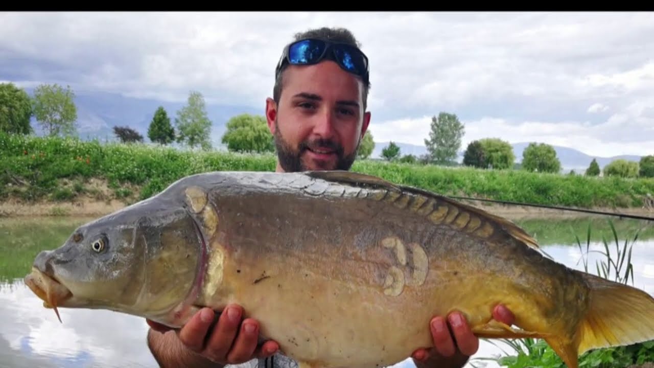 CARPFISHING (Canale Centrale di Fucino) STRANA CATTURA #Carp #Marsicanfishing #catchandrelease