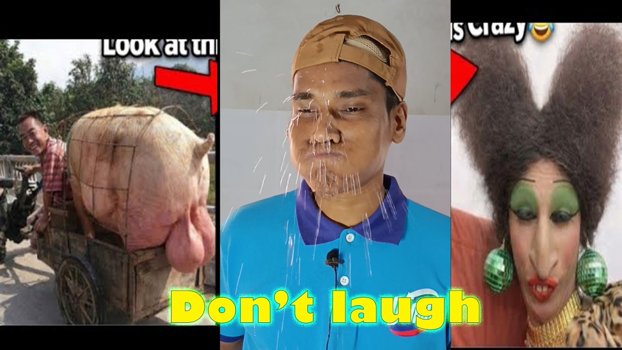 Is This the MOST AMAZING Funny Video of 2026?