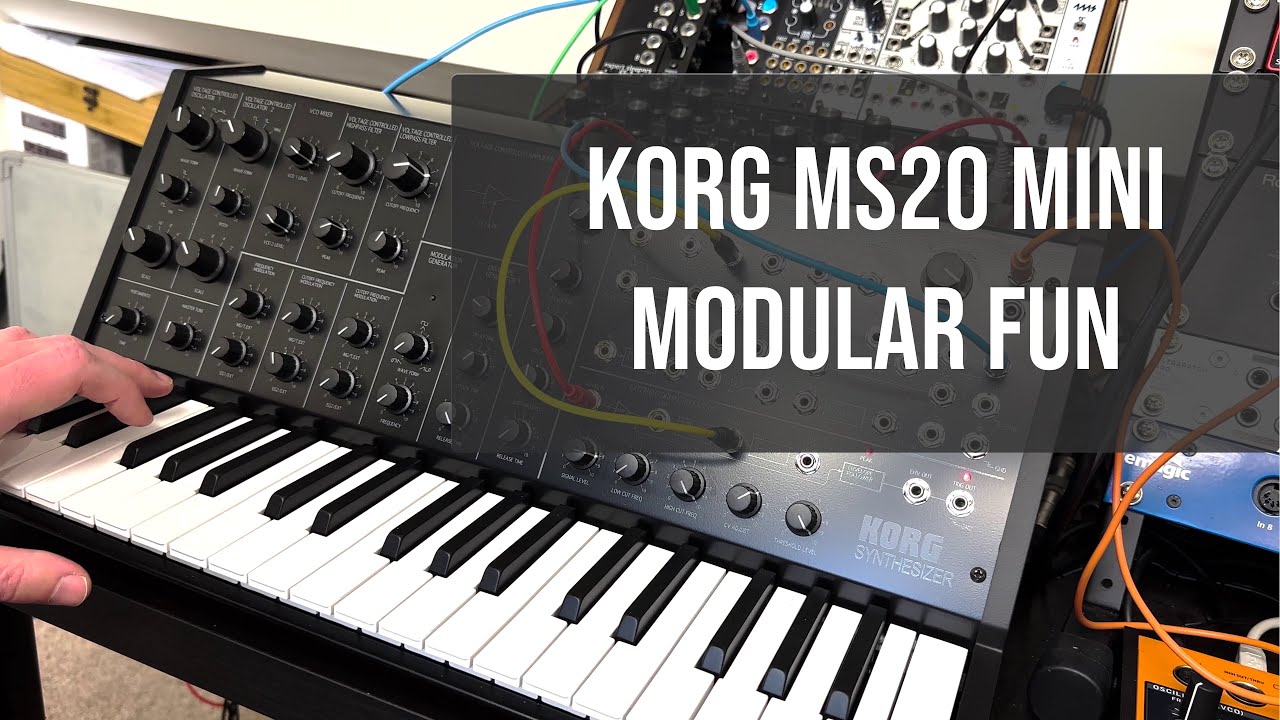 Korg MS20 Mini plus Moog DFAM equals nasty